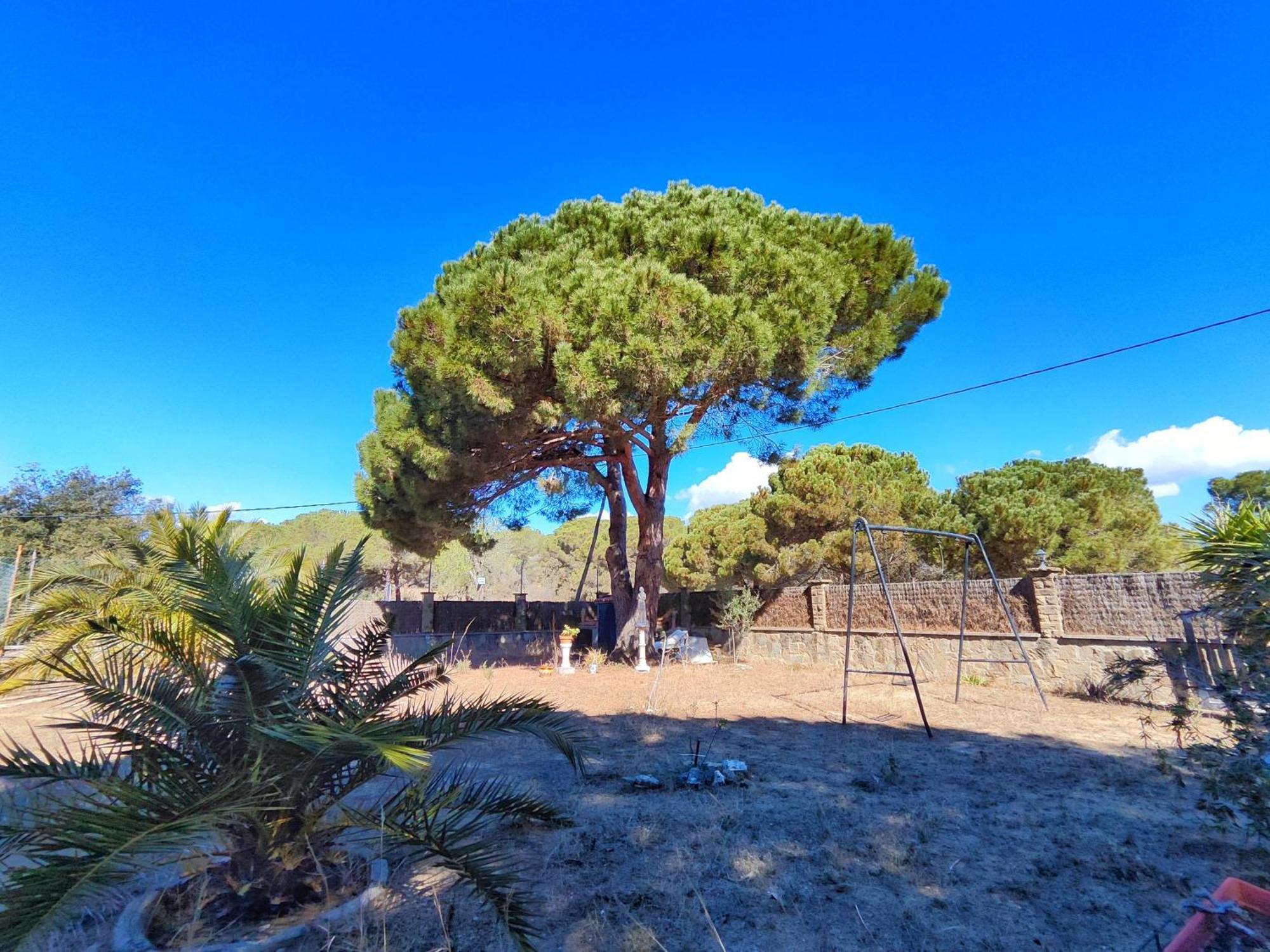 Casa Con Piscina Privada En Sant Pol De Marヴィラ エクステリア 写真
